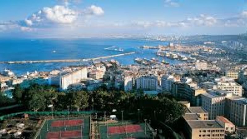 Turkish Airlines Algiers Office in Algeria